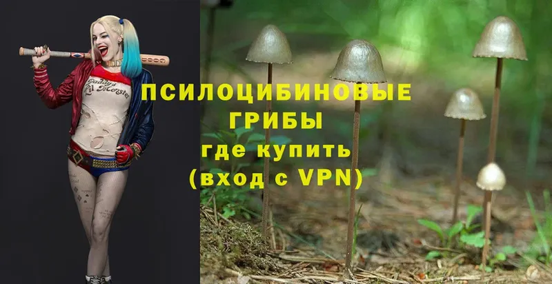 как найти наркотики  Рыбинск  ссылка на мегу онион  Псилоцибиновые грибы Psilocybe 